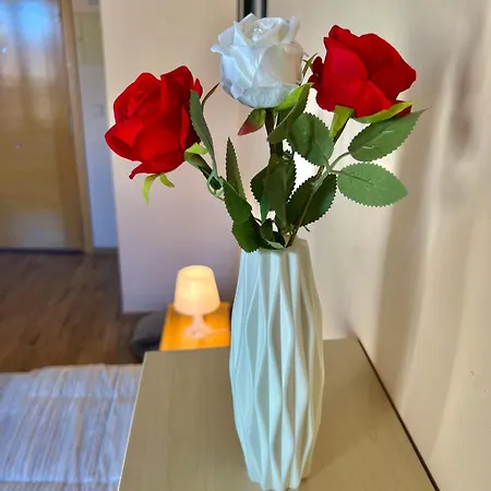 En Centro De Segowia